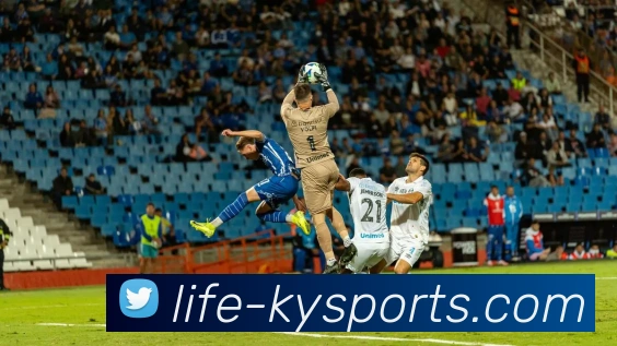 App Interface Preview